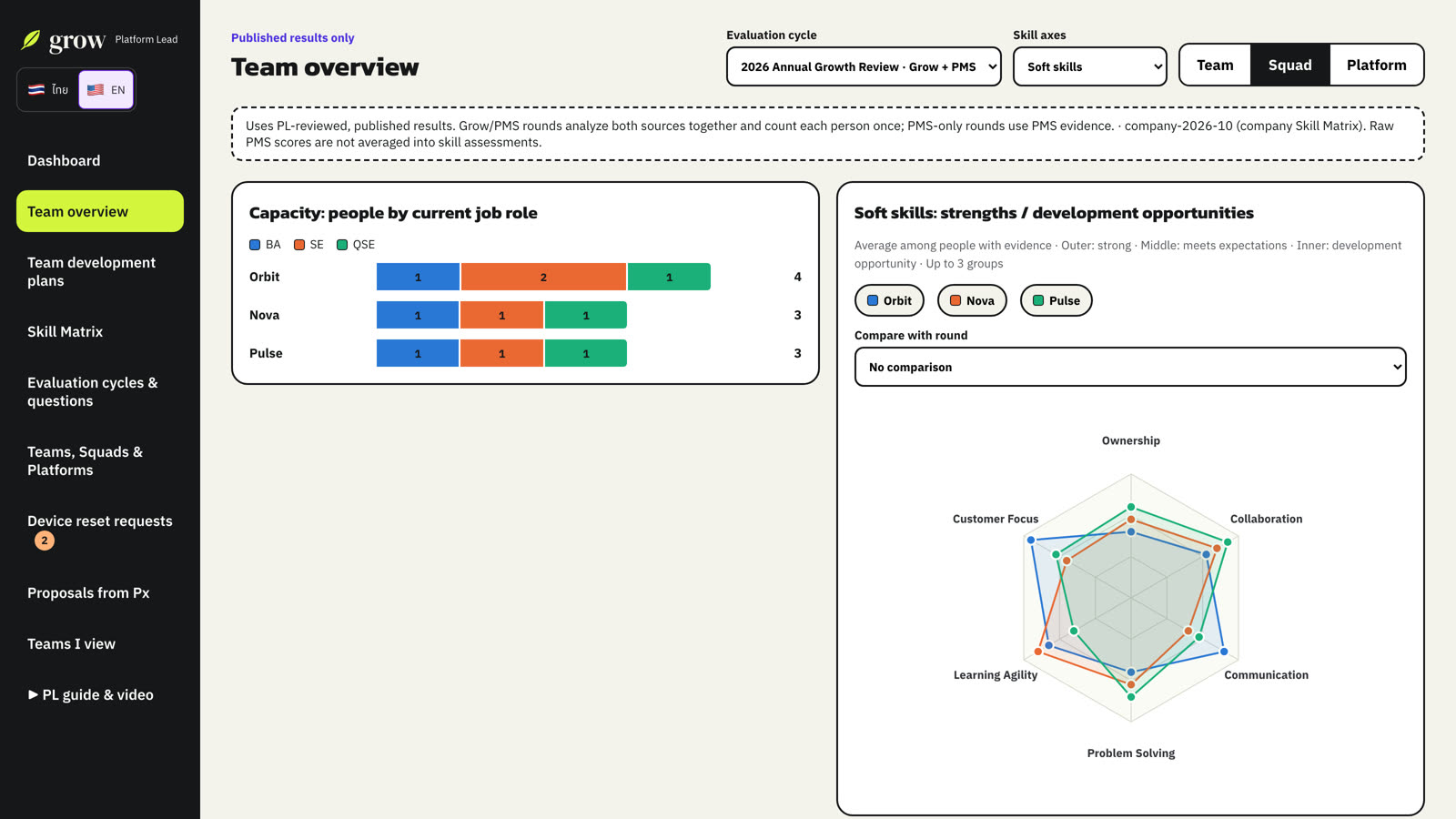 Capacity by role and the strengths/development radar.